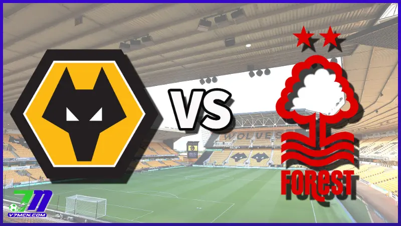 Lịch Thi Đấu Ngoại Hạng Anh Tuần Này Với Sự Đụng Độ Giữa Wolves Vs Nottingham Forest